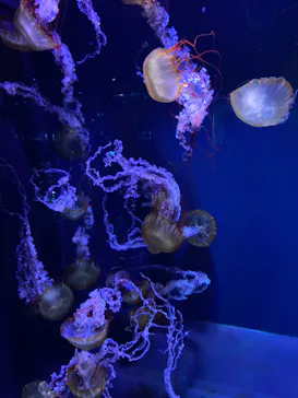 すみだ水族館に投稿された画像（2023/2/28）