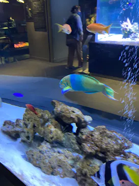 すみだ水族館に投稿された画像（2023/2/28）