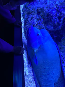 すみだ水族館に投稿された画像（2023/2/28）