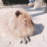 長崎バイオパークに投稿された画像（2023/2/28）