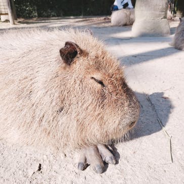 長崎バイオパークに投稿された画像（2023/2/28）