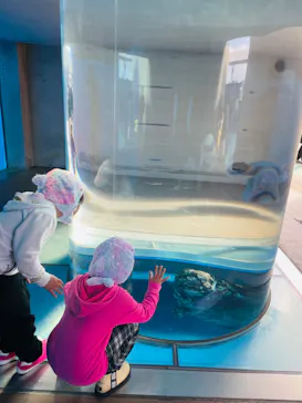 横浜・八景島シーパラダイスに投稿された画像（2023/2/28）