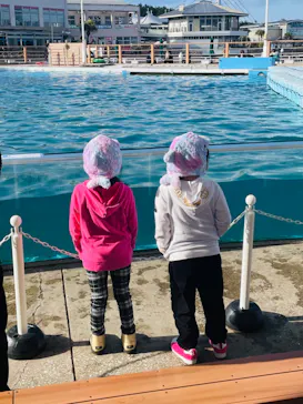 横浜・八景島シーパラダイスに投稿された画像（2023/2/28）