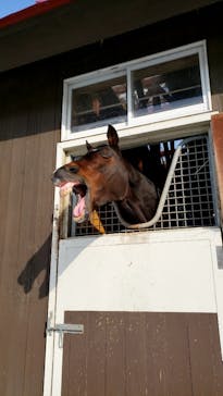 ノーザンホースパークに投稿された画像（2023/2/28）