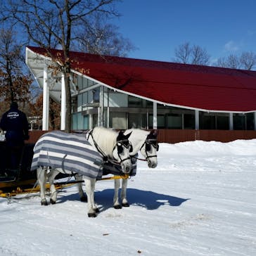 ノーザンホースパークに投稿された画像（2023/2/28）