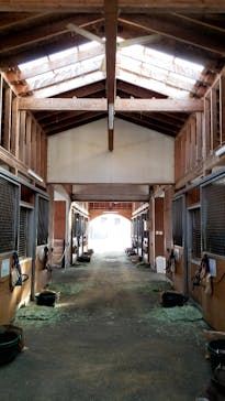 ノーザンホースパークに投稿された画像（2023/2/28）