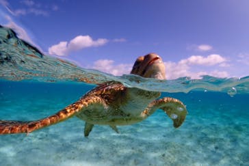 宮古島マリン SUGAR3（シュガースリー）に投稿された画像（2023/2/28）