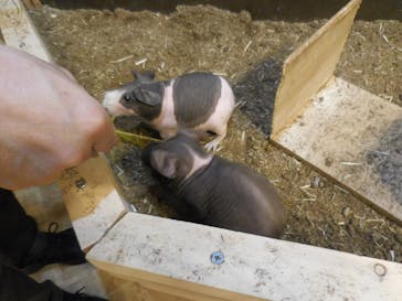 伊豆シャボテン動物公園に投稿された画像（2023/2/28）