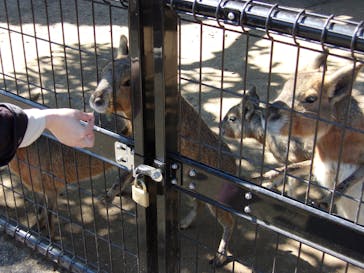 伊豆シャボテン動物公園に投稿された画像（2023/2/28）