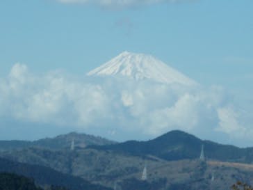 伊豆シャボテン動物公園に投稿された画像（2023/2/28）
