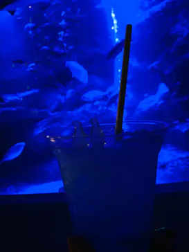 すみだ水族館に投稿された画像（2023/2/28）