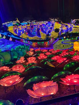 伊豆ぐらんぱる公園に投稿された画像（2023/2/28）