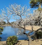 三溪園に投稿された画像（2023/2/28）