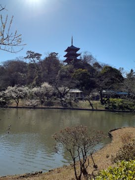 三溪園に投稿された画像（2023/2/28）