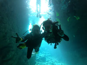 武藤潜水に投稿された画像（2023/3/1）