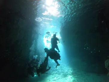 武藤潜水に投稿された画像（2023/3/1）