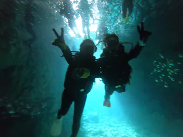 武藤潜水に投稿された画像（2023/3/1）