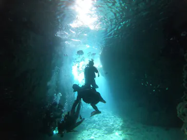 武藤潜水に投稿された画像（2023/3/1）