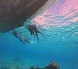 青の洞窟専門店　沖縄ダイビングショップ和に投稿された画像（2023/3/1）