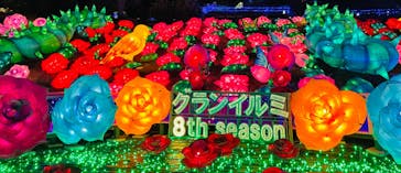 伊豆ぐらんぱる公園に投稿された画像（2023/3/1）