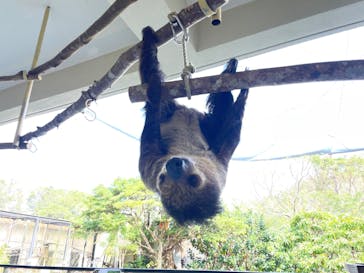 ネオパークオキナワに投稿された画像（2023/3/1）