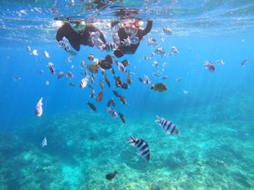 沖縄マリンサービス碧に投稿された画像（2023/3/1）