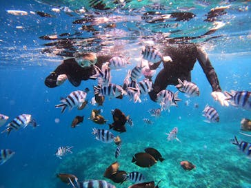 沖縄マリンサービス碧に投稿された画像（2023/3/1）