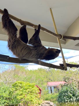 ネオパークオキナワに投稿された画像（2023/3/1）