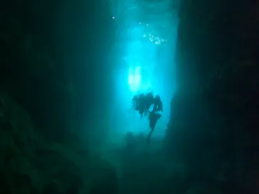 武藤潜水に投稿された画像（2023/3/1）