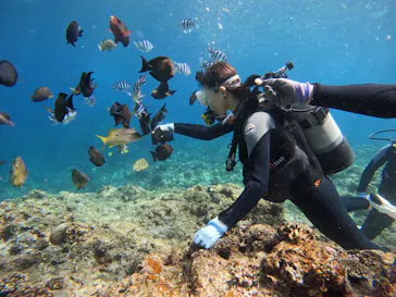 武藤潜水に投稿された画像（2023/3/1）