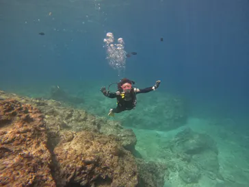 武藤潜水に投稿された画像（2023/3/1）