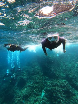 沖縄マリンサービス碧に投稿された画像（2023/3/1）