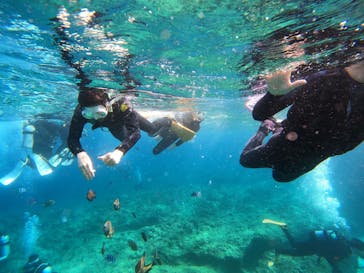 沖縄マリンサービス碧に投稿された画像（2023/3/1）