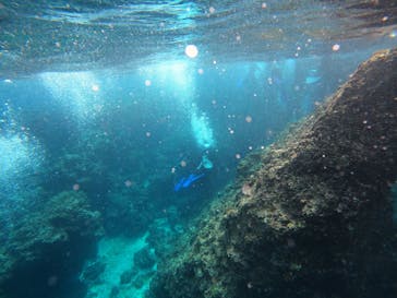 沖縄マリンサービス碧に投稿された画像（2023/3/1）