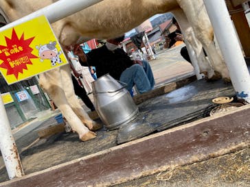 ワールド牧場に投稿された画像（2023/3/1）