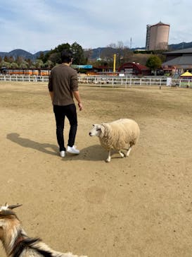 ワールド牧場に投稿された画像（2023/3/1）