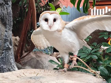 伊豆シャボテン動物公園に投稿された画像（2023/3/1）