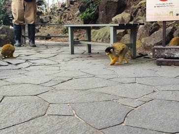 伊豆シャボテン動物公園に投稿された画像（2023/3/1）