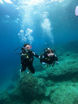 沖縄マリンサービス碧に投稿された画像（2023/3/1）