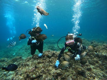 沖縄マリンサービス碧に投稿された画像（2023/3/1）