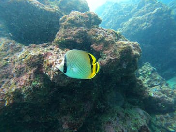 沖縄マリンサービス碧に投稿された画像（2023/3/1）