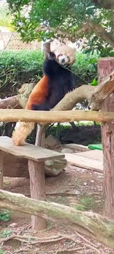 熱川バナナワニ園に投稿された画像（2023/3/1）