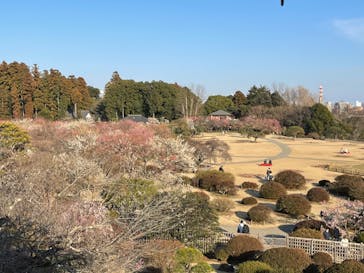 偕楽園本園に投稿された画像（2023/3/1）