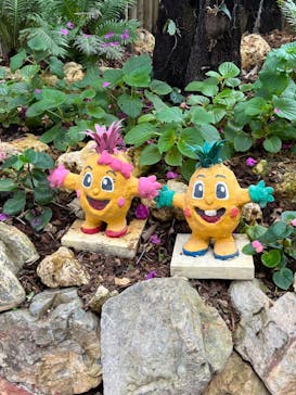 ナゴパイナップルパークに投稿された画像（2023/3/1）