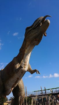 伊豆ぐらんぱる公園に投稿された画像（2023/3/1）