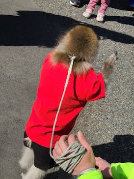 おさるランド＆アニタウン　日光さる軍団劇場に投稿された画像（2023/3/1）