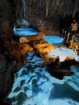 おきなわワールドに投稿された画像（2023/3/1）