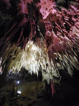 おきなわワールドに投稿された画像（2023/3/1）