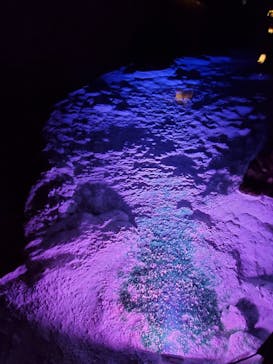 おきなわワールドに投稿された画像（2023/3/1）