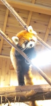 伊豆シャボテン動物公園に投稿された画像（2023/3/2）